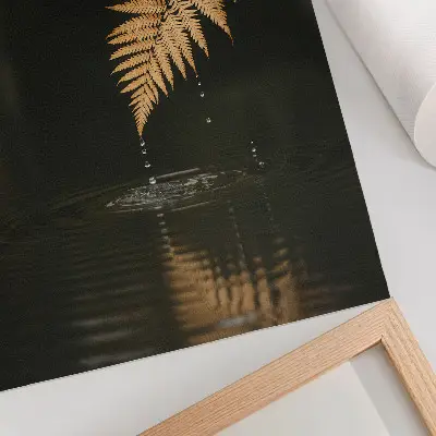 Plakat ścienny paprotka nad wodą z motywem kropli i refleksji