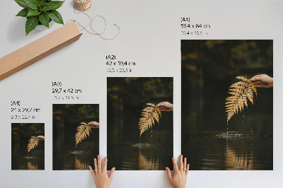 Plakat ścienny Paprotka nad wodą harmonijne krople refleksja