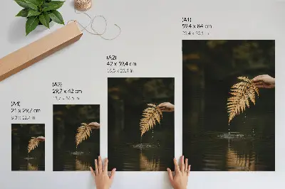 Plakat ścienny paprotka nad wodą z motywem kropli i refleksji