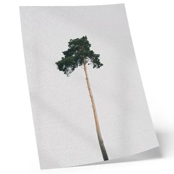 Nowoczesna grafika na płótnie z motywem minimalistycznego samotnego drzewa na jasnym tle