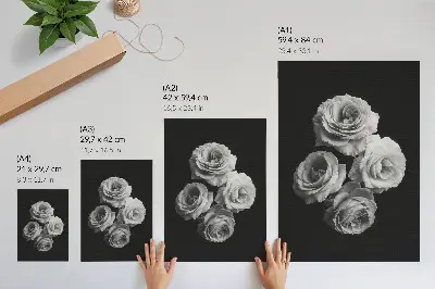 Nowoczesna grafika na płótnie czarno-białe róże w minimalistycznym i klasycznym stylu