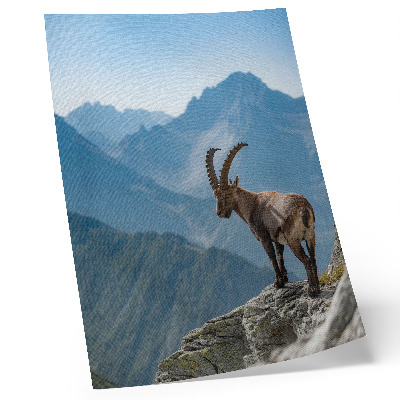 Plakat na płótnie Górska natura