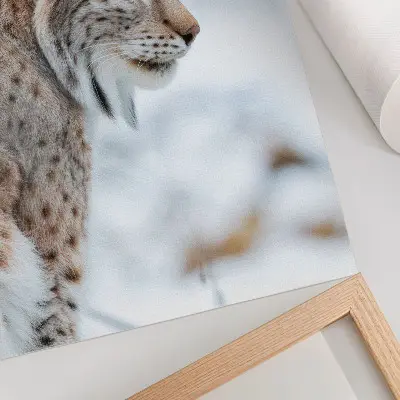 Plakat z teksturą płótna zimowy pejzaż przedstawiający piękną przyrodę w naturalnych barwach i harmonii