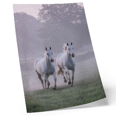 Plakat z teksturą płótna Białe konie poranek mgła przestrzeń natura