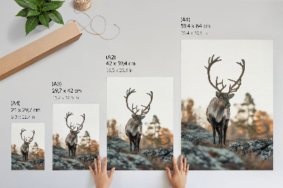 Plakat z teksturą płótna Jeleń natura