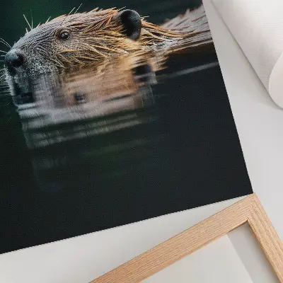 Plakat z teksturą płótna bóbr w spokojnej wodzie przedstawiający naturę i dzikość