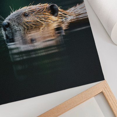 Plakat z teksturą płótna Bóbr w wodzie spokojna natura dzikość