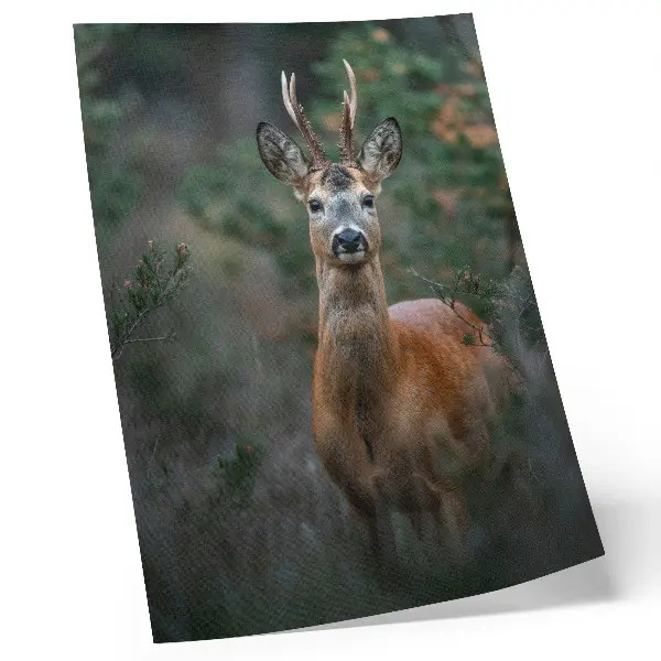 Plakat z teksturą płótna jeleń w lesie na zielonym tle symbolizujący spokój i naturę