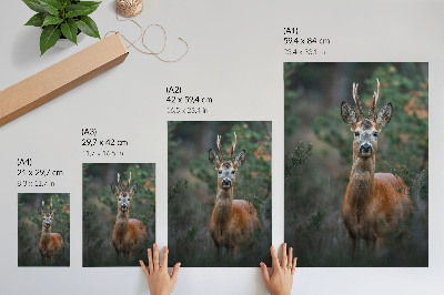 Plakat z teksturą płótna Jeleń w lesie zielone tło spokój natura