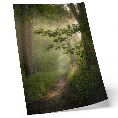 Plakat ścienny Zielone liście snop światła leśna ścieżka