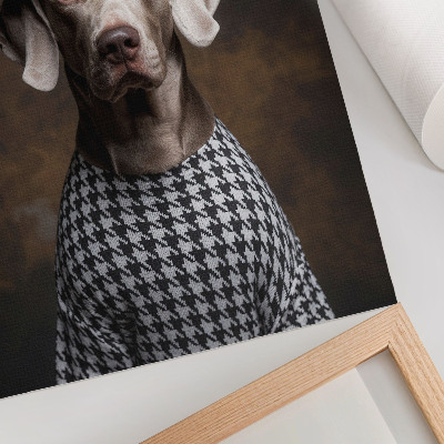 Plakat z teksturą płótna Pies w berecie wzorzysta kamizelka elegancja