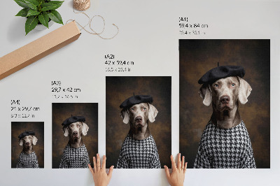 Plakat z teksturą płótna Pies w berecie wzorzysta kamizelka elegancja