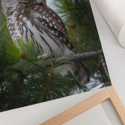 Plakat z teksturą płótna sowa na gałęzi sosny symbolizująca naturę spokój i harmonię