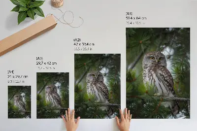 Plakat z teksturą płótna sowa na gałęzi sosny symbolizująca naturę spokój i harmonię