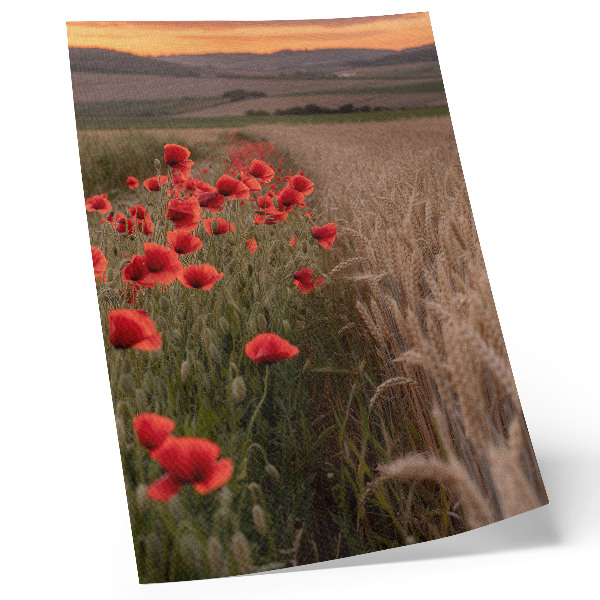Plakat z teksturą płótna Maki zachód słońca natura harmonia kolorów