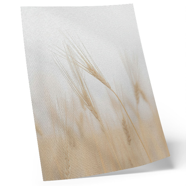 Plakat na płótnie Minimalistyczna elegancja kłosy zboża