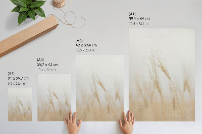 Plakat na płótnie Minimalistyczna elegancja kłosy zboża
