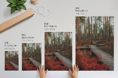 Nowoczesna grafika na płótnie Drewniana ścieżka las drzewa jesienne kolory