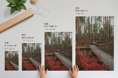 Nowoczesna grafika na płótnie drewniana ścieżka w lesie z drzewami w jesiennych kolorach