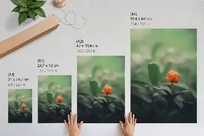 Plakat ścienny pomarańczowe jagody na zielonym tle