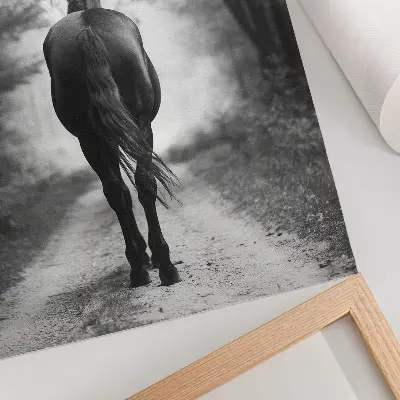 Czarno-biały koń w lesie fotografia na plakacie z teksturą płótna