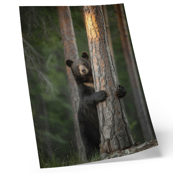 Nowoczesna grafika na płótnie Natura piękno