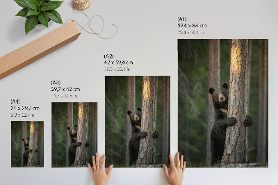 Nowoczesna grafika na płótnie Natura piękno