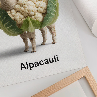 Plakat ścienny Nietypowe połączenie alpaki z kalafiorem