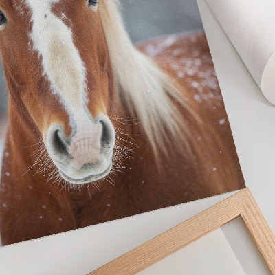 Plakat ścienny Portret konia zima spokój naturalność harmonia