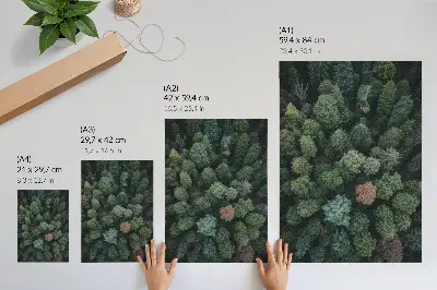 Nowoczesna grafika na płótnie leśny krajobraz z góry z różnokolorowymi liśćmi