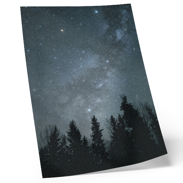 Plakat na płótnie Nocne niebo pełne gwiazd i sylwetki drzew