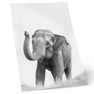 Plakat ścienny Monochromatyczny słoń z uniesioną trąbą