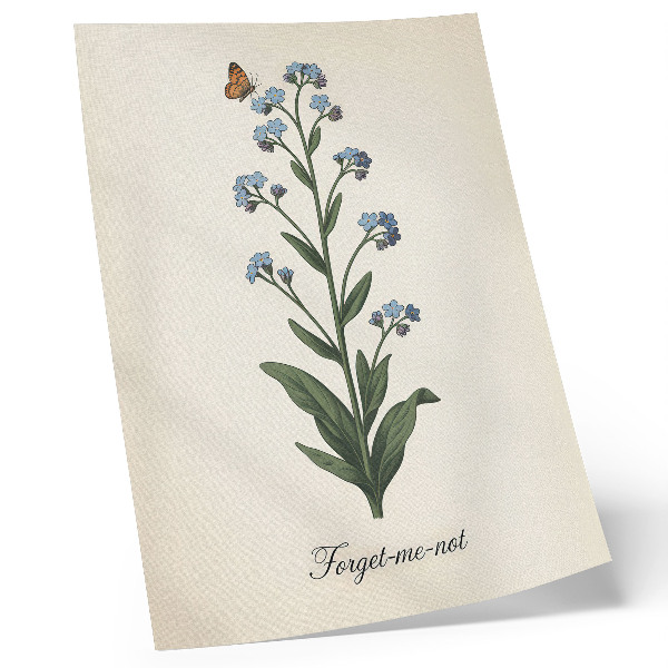 Plakat z teksturą płótna Niezapominajki i motyl na kremowym tle