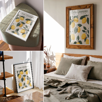 Plakat na płótnie Citrus Limonum