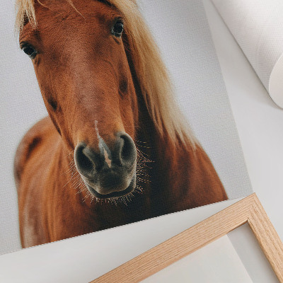 Plakat ścienny Portret konia minimalizm naturalne piękno elegancja