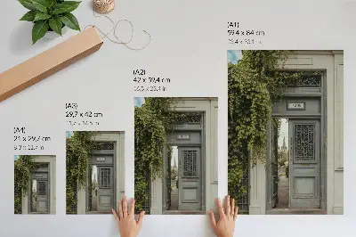 Nowoczesna grafika na płótnie przedstawiająca zabytkowe drzwi z bluszczem i tajemniczą ścieżkę