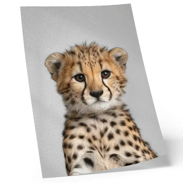 Plakat ścienny uroczy gepard na minimalistycznym tle