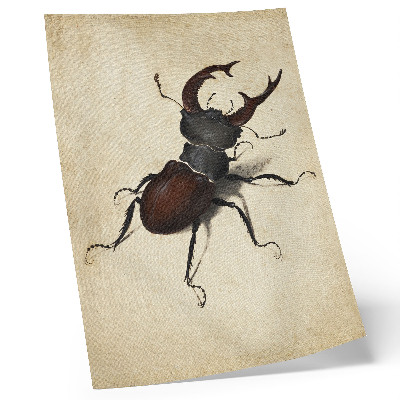 Plakat na płótnie Jelonek rogacz autorstwa Albrechta Dürera (1505)
