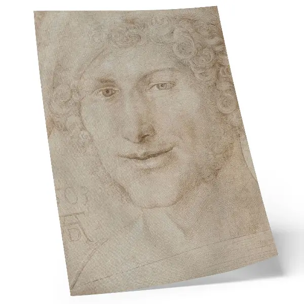 Obraz Głowa młodzieńca (1503) autorstwa Albrechta Dürera nowoczesna grafika na płótnie