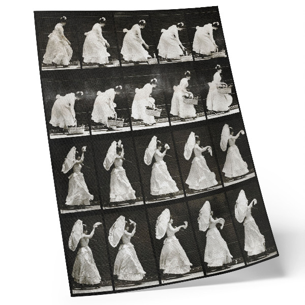 Plakat na płótnie Kobieta podnosząca kosz, machająca chusteczką (1887) – zdjęcie Eadwearda Muybridge’a