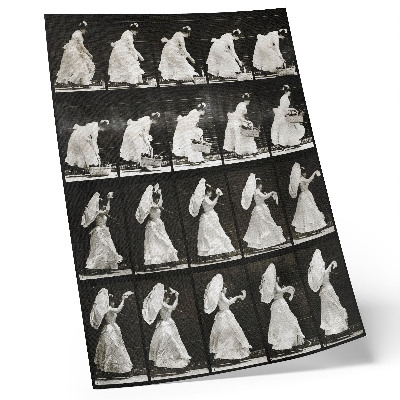 Plakat na płótnie Kobieta podnosząca kosz, machająca chusteczką (1887) – zdjęcie Eadwearda Muybridge’a