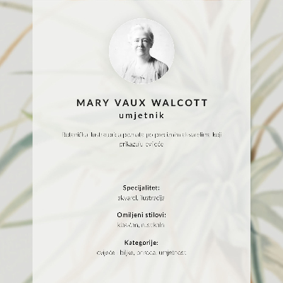 Plakat na płótnie Dziki ananas (Tillandsia fasciculata) (1921) autorstwa Mary Vaux Walcott