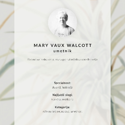 Plakat na płótnie Dziki ananas (Tillandsia fasciculata) (1921) autorstwa Mary Vaux Walcott