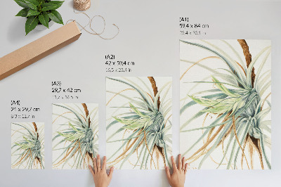 Plakat na płótnie Dziki ananas (Tillandsia fasciculata) (1921) autorstwa Mary Vaux Walcott