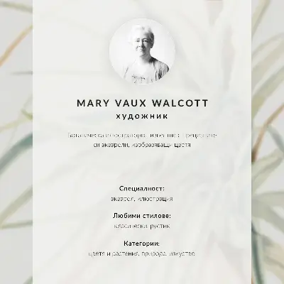 Plakat na płótnie z grafiką Dziki ananas (Tillandsia fasciculata) autorstwa Mary Vaux Walcott z 1921 roku