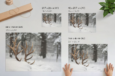 Plakat Poroża w śniegu zimowy las naturalny spokój