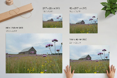 Grafika na ścianę Wiejska stodoła fioletowe i żółte kwiaty łąka