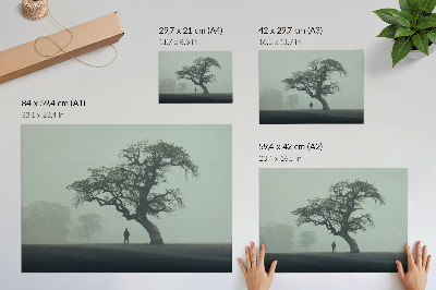 Grafika na ścianę Samotne drzewo mgła ciemna sylwetka klimat