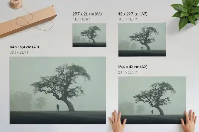 Grafika na ścianę samotne drzewo w mgle w ciemnej sylwetce