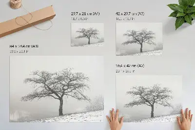 Grafika na ścianę samotne drzewo w zimowej scenerii symbolizujące spokój, minimalizm i harmonię